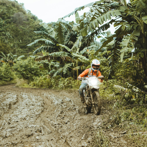 pexels-setengah-lima-sore-1061582751-31864236.jpg