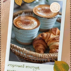 4e53851fd86010b5921b9e78bca5d516