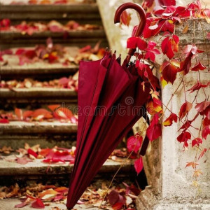 77da329b341e737b4711055c8eec437a