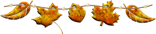 164808145_833.png