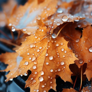 1c9c2ed1bca5b8e55c2e7560e54d9f6c