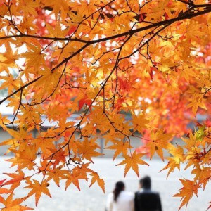 76b37a0efe9c10e79132967537a3d74d