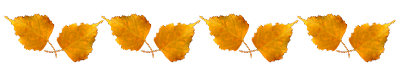 164894056_5840010_pic.png