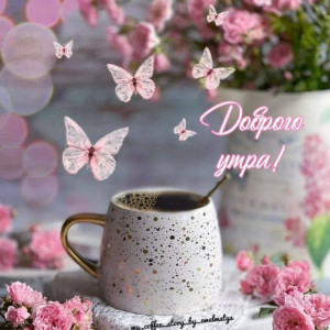 f444db314516868641542db421572f7a