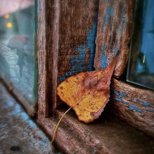 f451b5f48e8c6e872f116b8c7cad79e9