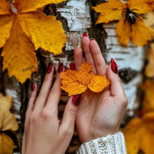 006e412f2f4a6a1bb8872f9085087738