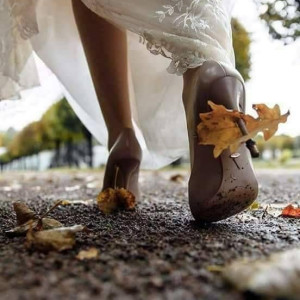 77fd73564c0b4c6e6622d2adbb1aa844