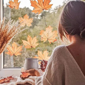 d48b80c530b30d1786de9e68d0bf8ef1