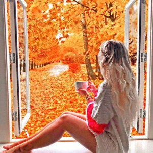 03e0ca872a09a3c5a37da753f34d1436