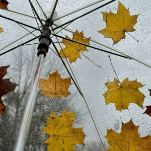 06c237bf494dad6a3b3e2406f0a48944