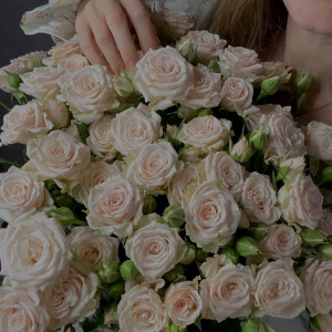 06d794b0d361f0ac80d21c7138fb198e