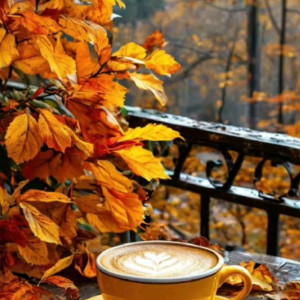 1d83dff316d5ada9dcf3c51c0edc2980