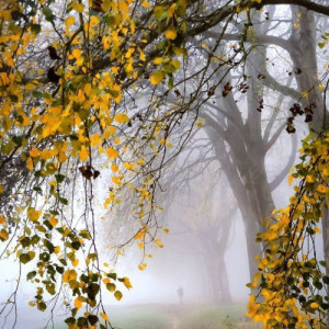 2e276ad42b65279661124a9a76f94e14