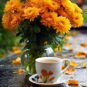 6bab911a34058af0d5e47b54a31978b6