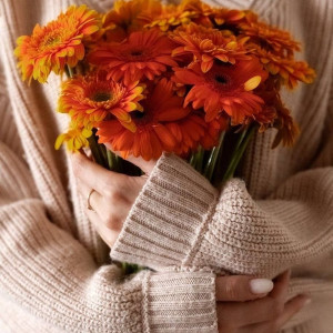 6bfcd578c3a58bcd1b7091efdd8769cb