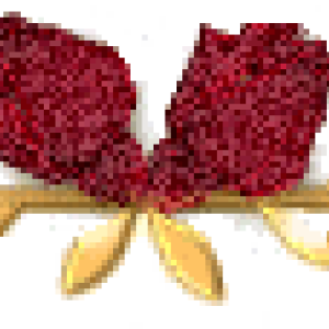 plan-vikhovnoyi-roboti-klasnogho-kiekrivnika_24