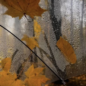 033aa8017e506ab5dd80b66f49f8d576