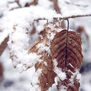 14bd3a792e072a15414dff36682426e9