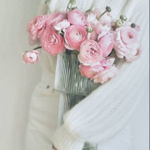 40f07dd03529b1462b45ffadc165a4ed