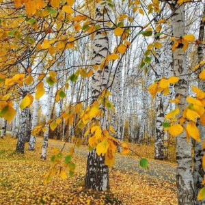 43cfb679acf7ec68152aef3b717b918b