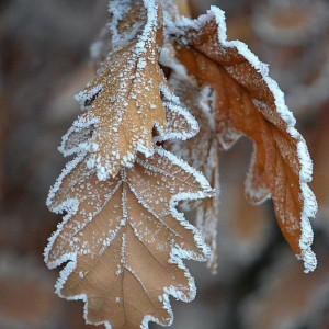 58b35100e594de8ddebb360af66fb107