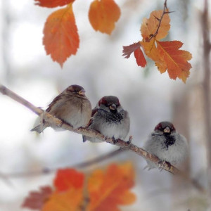 59c57d7788de8b5ddb3c2c3689ee7b6c