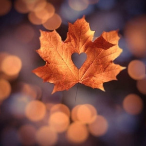 68b1b075a4562a1a3d700664d4ffeed2