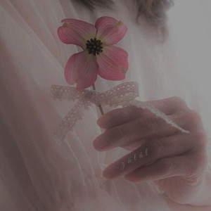 6e80d173ee0e4735529b9e147bbe9d4d