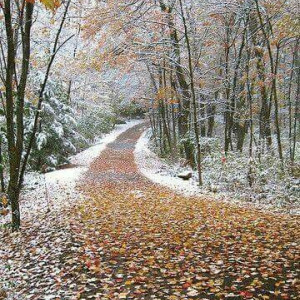 71d45b89ce5b67ec0ba6bf80b7488e63