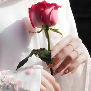 8ba50692b1af2c408b96448a57103458