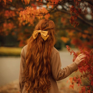 8e3a78fec811537676c51cb1a6c02c0d