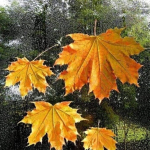 9a2acad8b2ab327ce991253cc6e342b7