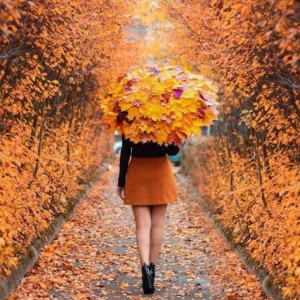 9e8a9353b2fe790e39fd364352049452