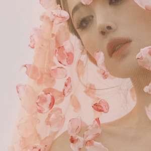 dce4ed8496c860625de4d9c9231d2d03