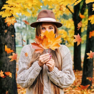 dd8c8c1bab975cc525e5007a7ec4012e