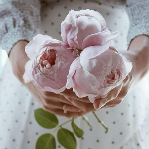 f0baa4f31d2c8fc569dac980e2a6dedf