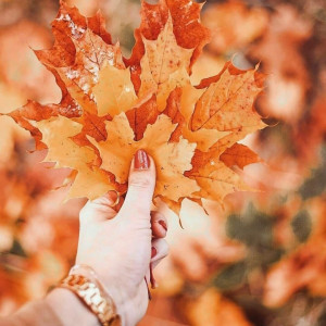 f2c855d46c2c8888eeb33588109f7574