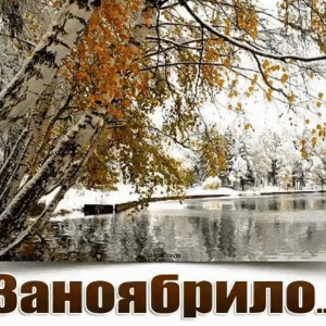 023ac247f7e6c1030fb4b9b5f2ea9ad5