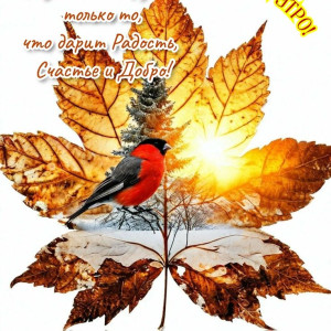 02455e0ec4c845e0842f0dd02f736c67