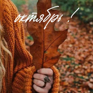 03408ca608abf20585b8bc22743ea719