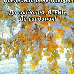 11aed7a808255b5b7f9652e3c95878d1