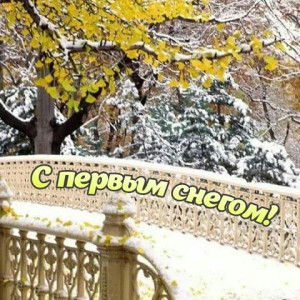 11cd0aa9cff0794b043a92cf53663265