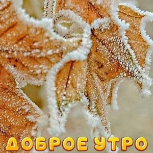 155734b3099d774121453842723580a4