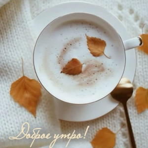 1b2e7aeb66791bf0a7c13065d7349dc4