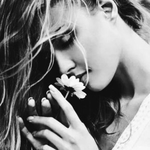 2c4d3cdfb0c23d83041ddca17388afc2