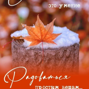 2e72d66b6559de4ef4ecbcb6dd29d4ca