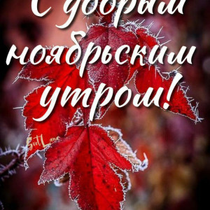 3f4d5f869f9d17586678d586dd5d8ed6