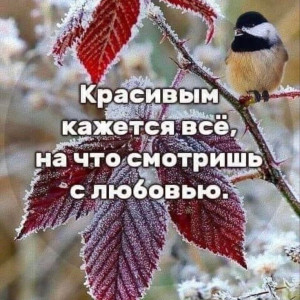 44bfa111ffa94ada0b50bd66f4131182