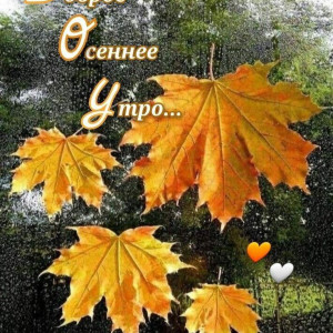 467081ee3b7e4c786d891b8db4a8ca8d