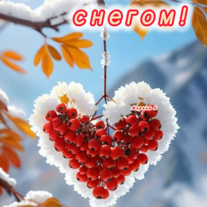 46ac19cc8c8bcc30ee49d0d4f3c23760